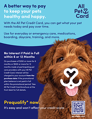 Poster (6 + 12 Months No Interest Plans)