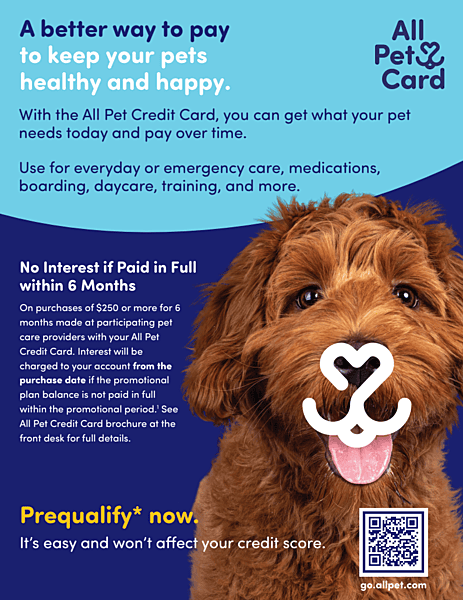 Poster (6 Months No Interest Plans)